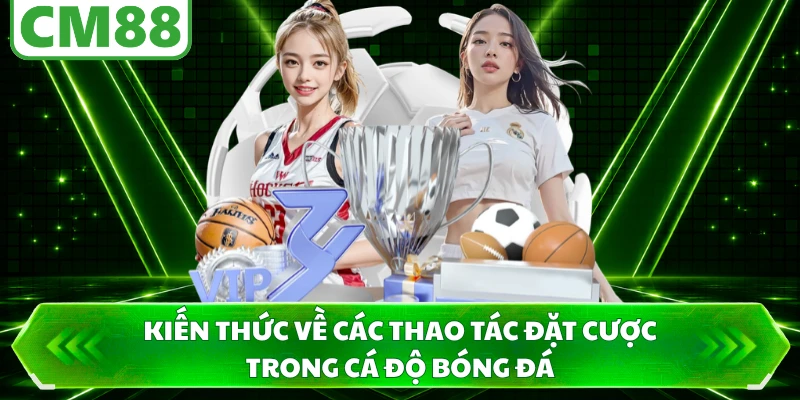 Kiến thức về các thao tác đặt cược trong cá độ bóng đá