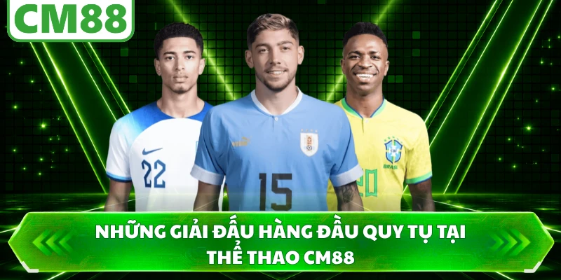 Những giải đấu hàng đầu quy tụ tại thể thao CM88